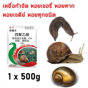 หอยทาก ทาก ฆ่า ฆ่า ฆ่า เมทัลดีไฮด์ เหยื่อกำจัดหอย 500g โรยโดยตรง ไม่กลัวน้ำ กำจัดหอย ยาหอย ฆ่าแต่หอยทาก ทากและไข่แมลง ไม่เป็นอันตรายต่อพืช ให้ศัตรูพืชขาดน้ำตาย กำจัดหอย หอยศัตรูพืช