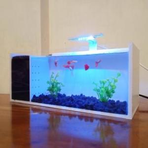 Aquarium Mini Akrilik Fullset Murah Ikan Cupang Hias Size 28X12X12 Cm Pompa Filter Lampu Aquarium Aksesoris Aquarium Batu Warna Tanaman Hias