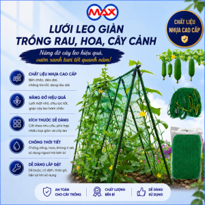 Lưới Làm Giàn Cây Leo 2x5m – Chất Liệu HDPE Bền Đẹp Dùng Cho Vườn Rau Làm Giàn Mướp Bầu Bí Dưa Leo Siêu Bền