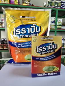 โธราบิ้น 100 กรัม /1 กก. ไดเมโทมอร์ฟ + ไพราโคลสโตรบิน ป้องกันกำจัดเชื้อรา ดูดซึม ราน้ำค้าง แอนแทรคโนส โรคไหม้ ราสีชมพู กาบใบแห้ง