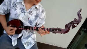 พิณโปร่งกลางรุ่นใหม่ฝึกหัด มีรีวิว ฟรีคู่มือ ปิ๊กดีด