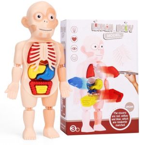 Childrens Doctor Toy Set Stethoscope Girl Playing Dentist Toys Educational Play House Birthday Gift