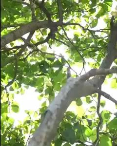 บ้านและกลางแจ้งถ่านย่างบาร์บีคิวพร้อมขาตั้งหนาครบชุดเครื่องมือบาร์บีคิวสำหรับผู้ใช้