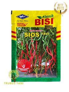 Benih Cabe Keriting - SIOS TAVI F1 - 10 gr