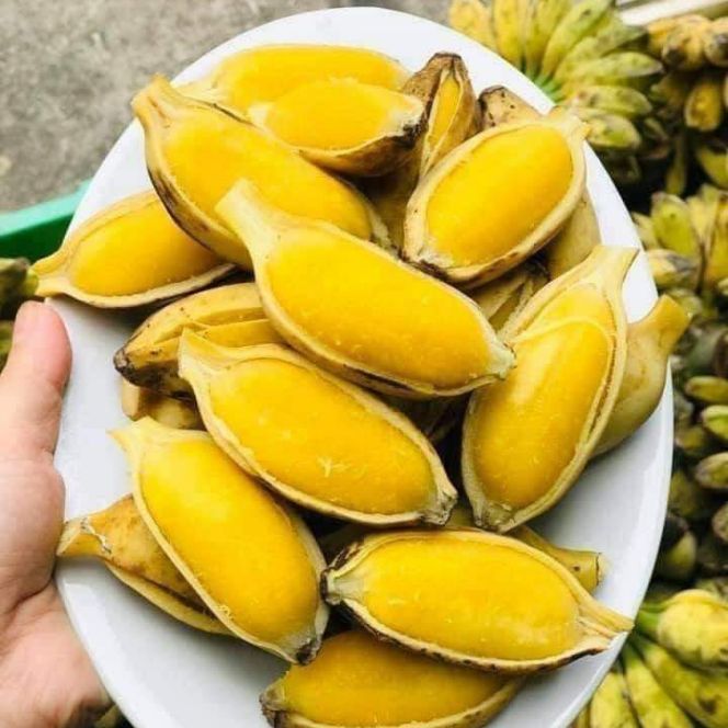 CHU%C3%94%CC%81I%20SA%CC%81P%20NGH%C3%8A%CC%A3%20%20B%E1%BA%BEN%20TRE%202KG%20-%20Image%201