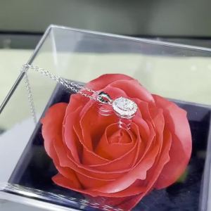 NeeTim Oval Cut Moissanite Necklace Pendant s925 Sterling Silver Necklace Chain Necklace Gift for Women Girl Wedding Jewelry