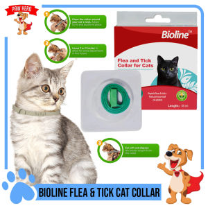 PAW HERO (VARIATION) Bioline Cat Collar / Dog Collar Anti-Tick & Flea 35cm Collar