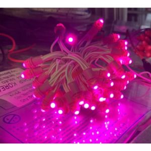 Giá Lẻ 1 dây 3m 50 bóng Led Đúc F5 12V Dây Led Trang Trí Quấn Cây Quán Cafe Homestay Resort...