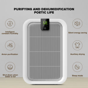 New type negative ion dehumidifier