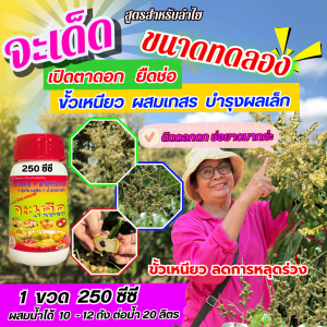 จะเด็ด 250 ซีซี สำหรับลำไย ฉีดพ่นทางใบ เปิดตาดอก ยืดช่อ ผสมเกสร ขั้วเหนียว บำรุงผลเล็ก ลดการใช้ปุ๋ยเคมีทางดิน/Early Bird