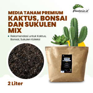 Media Tanam Mix Kaktus Sukulen Bonsai Premium 2 L