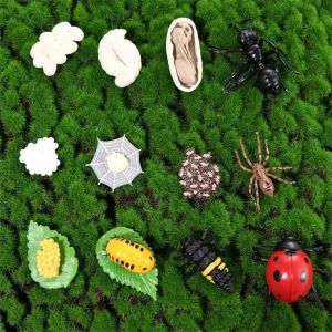 WAPKTY 4 Pcs/Set Montessori Teaching Aids Life Cycle Figurines Educational Miniature Miniature Size Animal Growth Cycle Cute Cognitive Toy Set Insect Life Cycle Toys for Kids Educational Play