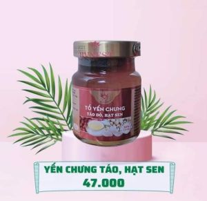 Yến sào Hoàng Việt - yến chưng táo đỏ  hạt sen - xuất xứ nước yến Khánh Hòa - Nha Trang  là loại yến hũ chưng sẵn 70ml