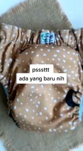 Clodi Ningrat AIO Dry pant Reguler Popok kain cuci ulang