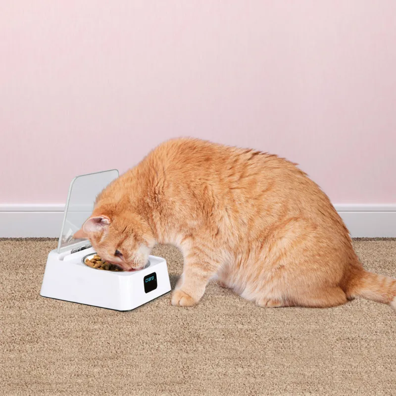 Automatic Cat Feeder Dog Feeder Automatic Rodent Feeder Pet Food