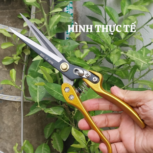 Kéo tỉa dăm tỉa cành cây mũi nhọn kèm lò so sơ cua size 30cm