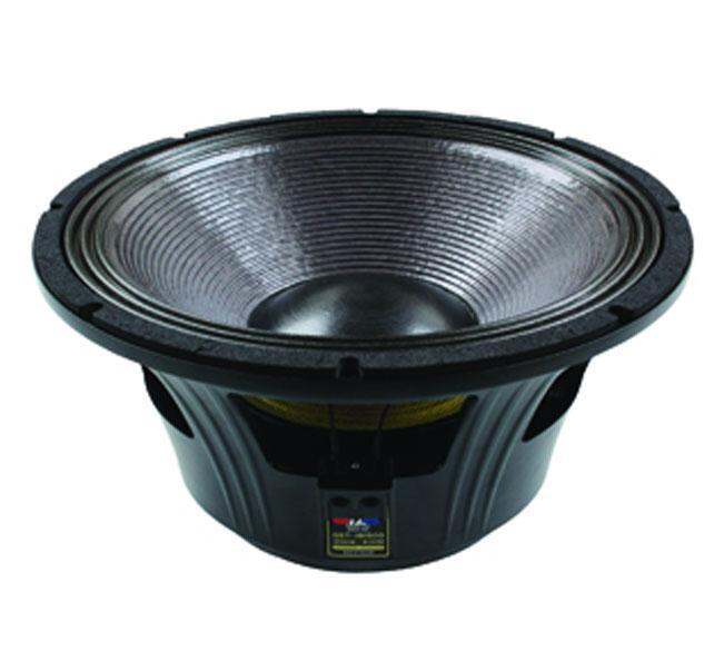 P audio speaker 18 inch store 1000w price