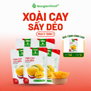 [5 túi tặng 1] Combo 5 Xoài Muối Ớt Sấy Dẻo NONGLAMFOOD Hàng Chuẩn Xuất Khẩu Trái Cây Sấy Dẻo Đồ Ăn Vặt Túi 100g