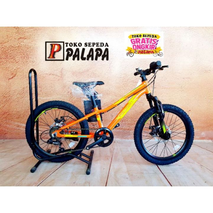 Relic Polygon Mtb 20 MTB 20 POLYGON RELIC NEW Sepeda Gunung Anak