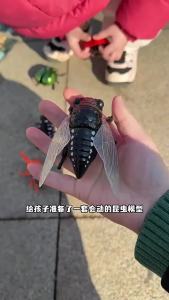 [SG Seller]Wind-up Insect Model Toy Set Realistic Moving Beetle & Butterfly Kids Interactive Science Learning Toy