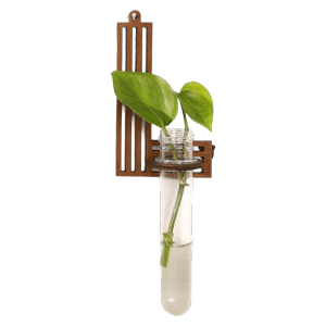 HEALMEYOU A-Z Alphabet Hydroponic Planter Shelf Wooden Home Ornaments Wall Decoration Minimalist Geometric Wall Mounted Planter Garden Wall Decor