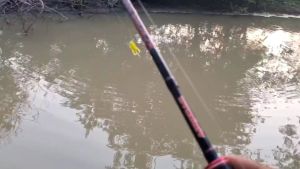 ปลาชะโด เหยื่อตก 1 ชิ้น 2 แพ็ค 3 ชิ้น ตะขอ 1 ชิ้น ทุกแพ็ค 🆓