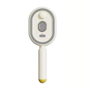 【LOCAL STOCK-Deliver in 2-3 days】Electric Steam Brush Red Light Air Cushion Mister for Frizz Control Rechargeable Detangling Steam Hair Straightener with Water Spray Ideal for Home Spa Grooming Styling Tool
