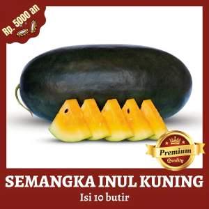 Benih Bibit Biji Semangka Inul Kuning Madu 10 Butir Kualitas Super