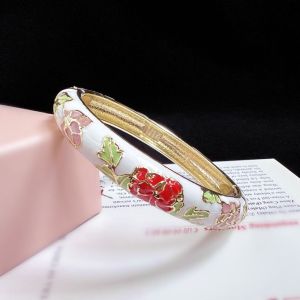 GENENIC Enamel Chinese Cloisonne Bracelet Double Bangle Traditional Womens Hand Bracelet Hawaiian Classic Peony Filigree Flower Bangle Gifts for Women Girl