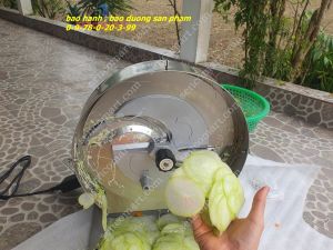 Máy thái hoa quả cắt lát củ quả sấy khô chạy điện