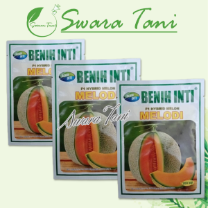 Benih Melon Orange MELODI Benih Inti 200 Biji