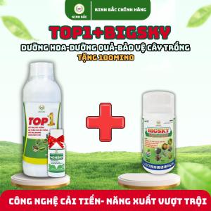 (Combo Top1+Bigsky)-(Tặng Đomino)-Kinh Bắc-Sản phẩm hiệu quả tính mát sử dụng được trên nhiều loại cây trồng. Phân bón cho cây trồng