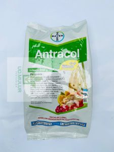 Fungisida Bayer ANTRACOL 70WP mantapp