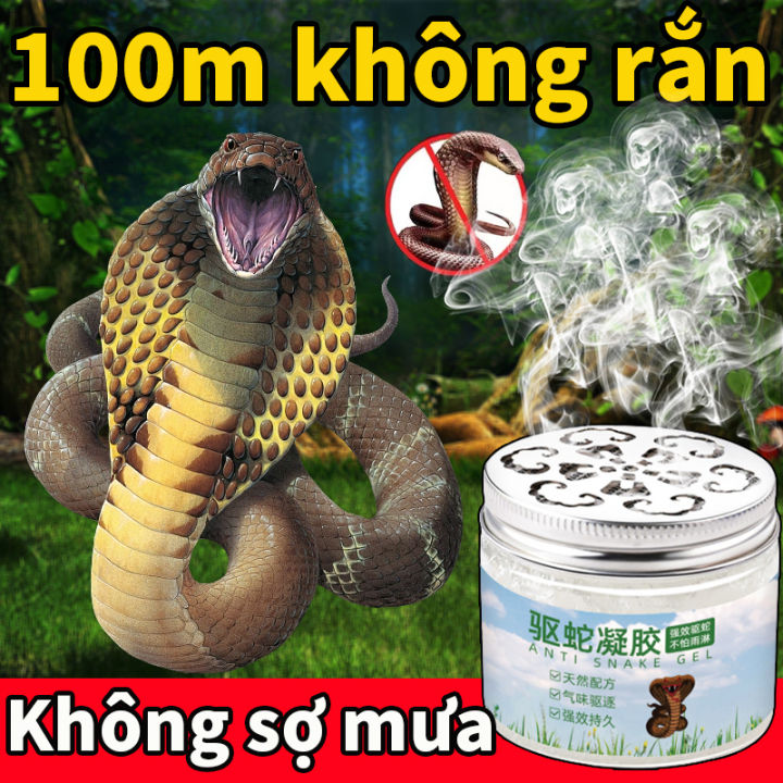 🐍An toàn và vô hại🐍thuốc đuổi rắn đuổi rắn bột đuổi rắn Khai thác thực ...