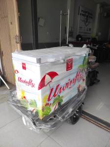 Uwinfly GB Gerobak Listrik dengan mesin Mid Drive + Differential Gear 600W Battery 48V 20Ah