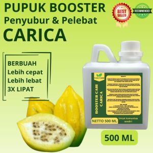 Pupuk Pelebat Carica / Pupuk Buah Carica / Pupuk Booster Carica / Pupuk Carica