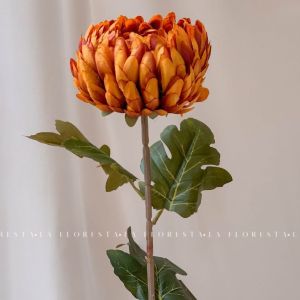 Hoa Cúc Mẫu Đơn lụa nhập khẩu cao cấpcúc đại đoá decor trang trí nhà cửa cắm bình (Hoa giả)
