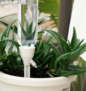 UPGRADED Auto Drip Plant Watering Device Automatic Plant Waterer Watering Kits System Auto Watering READY STOCK