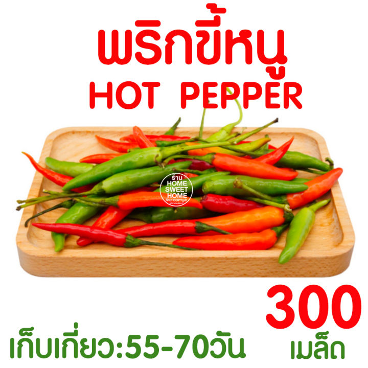 เมล็ดพริกขี้หนู 300 เมล็ด ปลูกง่าย โตไว จำนวนเยอะ