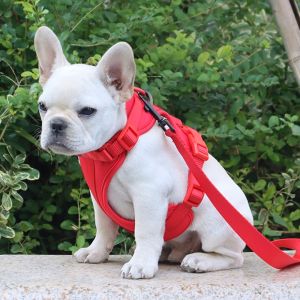 SWEET ELVES Candy Color Dog Harness Vest Breathable Reflective Chihuahua Harness Fashion PVC Puppy Clothes Pet Outdoor Walking