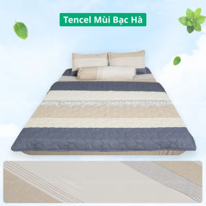 Bộ Chăn Ga Gối Tencel Hương Bạc Hà Chagota Bedding Tinh chất Bạc Hà kháng Khuẩn Nhiều Hoạ Tiết Nhẹ An Toàn [Size Lẻ]