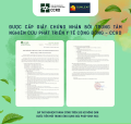 Ngăn Nấm Hại Cây, Bảo Vệ Lá Khỏe 100% Hữu Cơ | Sả & Vỏ Cam | SunLeaf. 