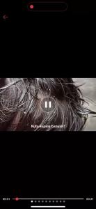 Camay Repellent Serangga Ubat Kutu Kepala Hama Pepijat Natural Head Lice Odorless Mites