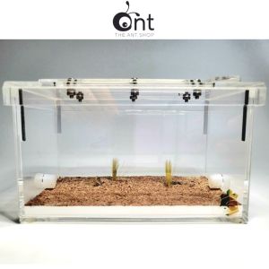 The Wilderness Outworld - Version 1                                                                                                                                             - Ant Keeping Keeping Ants Ant Outworld Ant Hill Ant Formicarium Empire Of Ants