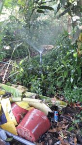 Béc Vít phun phi 27 ngắn ( 100 cái )