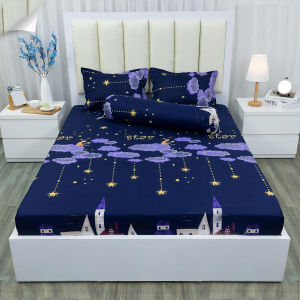 Bộ ga gối m2/m6/m8/2m2 drap giường poly ga trải giường + 2 vỏ gối nằm