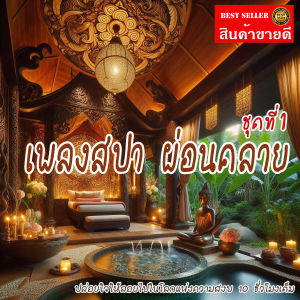 เทพไรแดง888 เพลงสปา mp3 (ชุดที่ 1) SPA Music สำหรับร้านนวด เพลงร้านสปา ผ่อนคลาย บำบัดจิตใจคลายเครียด แฟลชไดร์ฟ USb Mp3 Jde321