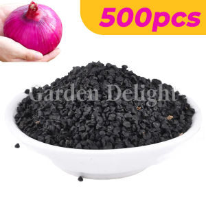 Red Onion Seeds 2500Pcs Red Colorado Variety Vegetables seeds High yield Easy to grow for Garden and Farming