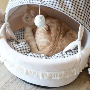 PaiPai Cat Warm Cradle Cat Nest Large Space Semi-Enclosed Dog House Detachable and Washable Cat House Four-SeasonNest