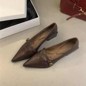 Retro Button Thick Heel Shoes with Pointed Temperament Mary Jane Shoes